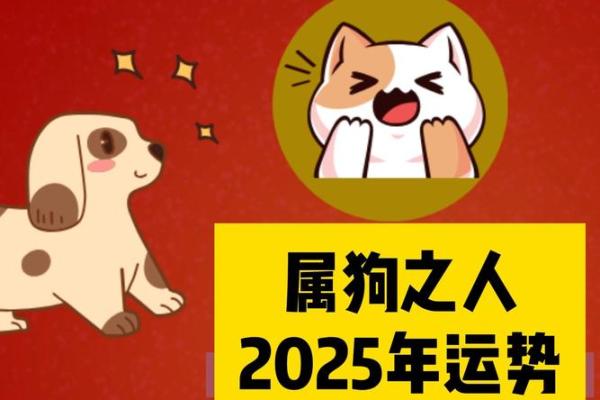 属狗人的每月运势解析