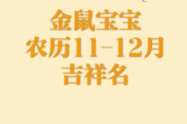 为鼠宝宝挑选名字大全彰显个性与吉祥 为鼠宝宝挑选名字大全彰显个性与吉祥