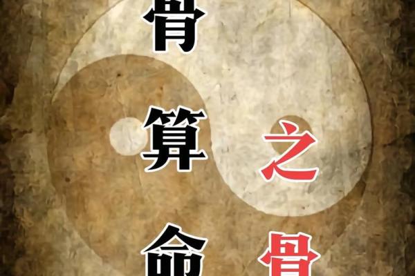 八字算命到底准不准？看完这个视频你就明白