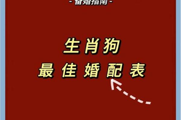 属狗与属鼠的婚配解析：两者是否合适？