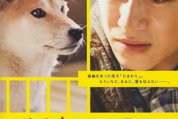 李安八字透视：从命理看他如何成为电影巨匠