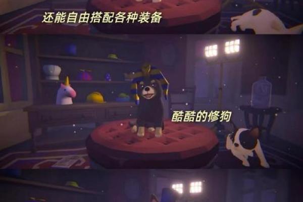 狗与鼠的完美搭档：探索这两个动物的奇妙关系