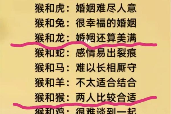 属狗男和属龙女的配对解析：缘分与挑战并存