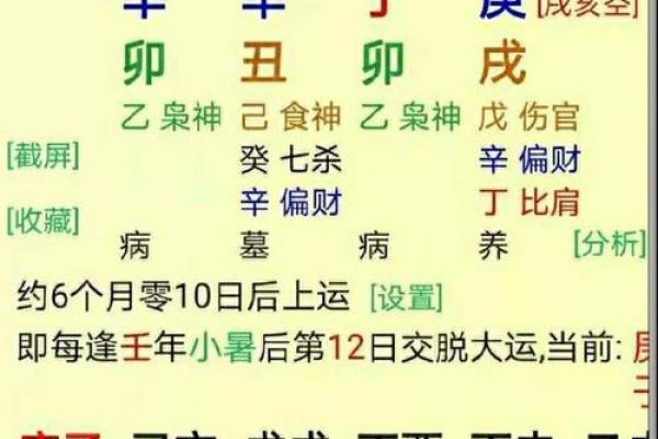 沧字五行属性解析，如何影响命运与运势