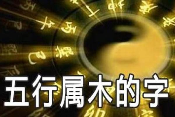 柏字五行分析：解读其背后的深层含义与象征意义
