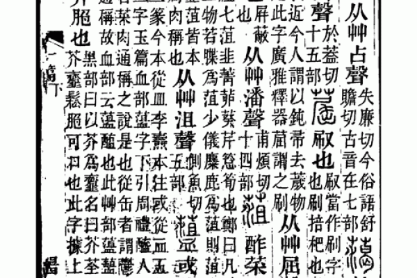 柏字五行分析：解读其背后的深层含义与象征意义