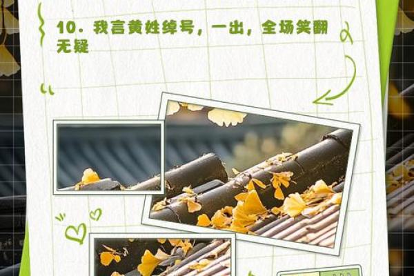 创造有趣外号，笑翻全场的最佳名字推荐