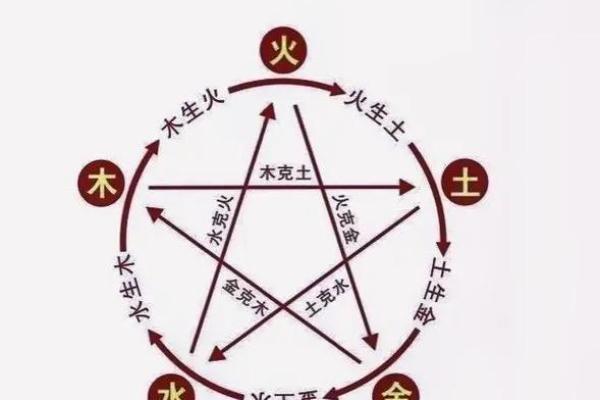 出生的人五行属什么，揭秘其命理特点