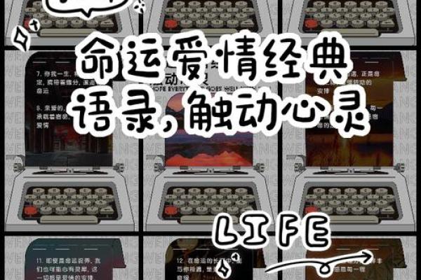 男命双桃花，命运中的感情波动与心灵解读
