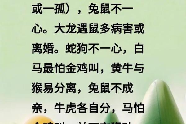 鸡鼠相配的五大缘由 你知道吗