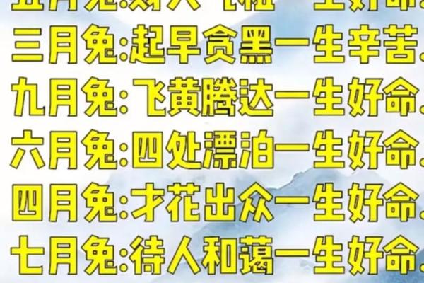 出生属相命运解读