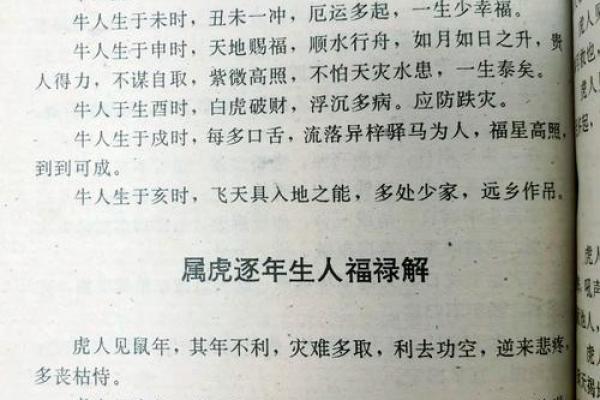 本命年属虎如何更好地沟通与合作