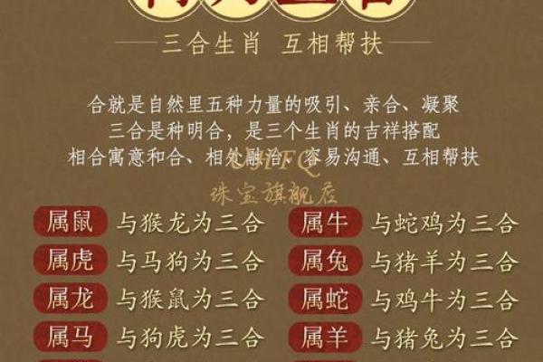 本命年属虎如何更好地沟通与合作