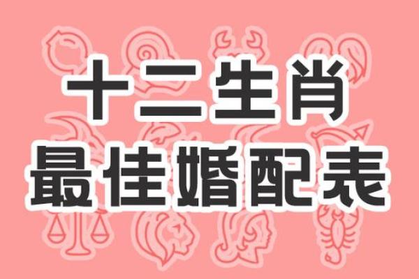 生肖鼠的最佳配对属相解析