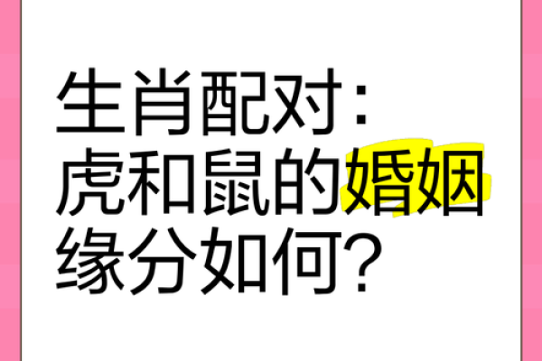 生肖鼠的最佳配对属相解析