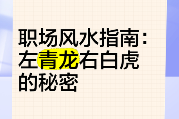 办公风水规划指南提升职场运势