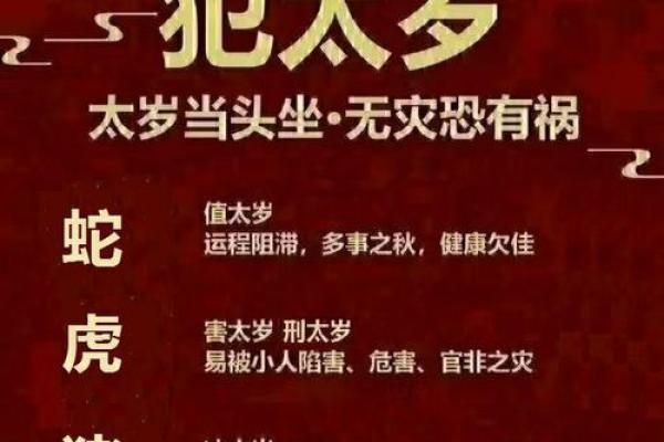 蛇男本命年如何平衡工作与生活