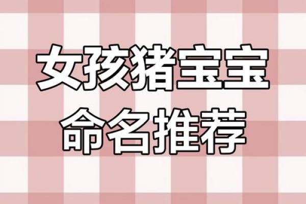 如何为猪宝宝取个吉利又独特的名字 如何为猪宝宝取个吉利又独特的名字