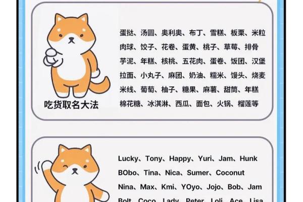 如何为狗宝宝起个既有趣又独特的名字 如何为狗宝宝起个既有趣又独特的名字