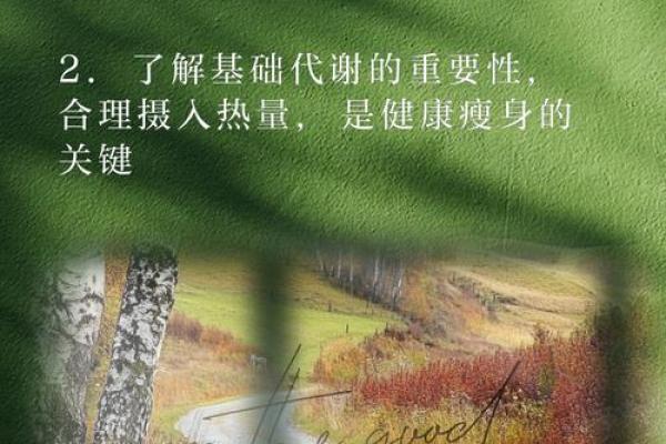 八字五行评分方法大揭秘,轻松了解命运走向 八字五行评分方法大揭秘,轻松了解命运走向