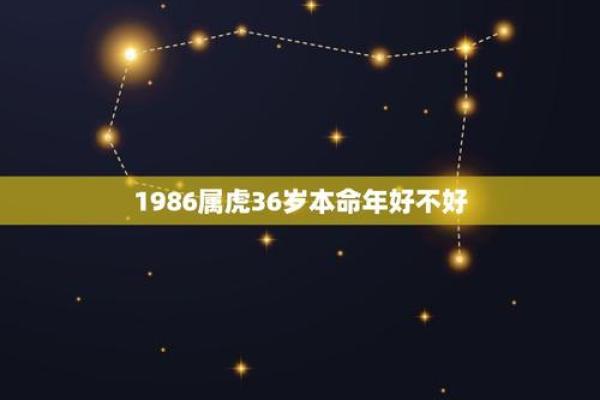 本命年龙女的婚姻运势解析