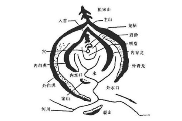 从零开始学风水，推荐优质风水学校