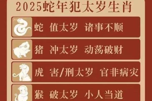 本命年蛇男如何在压力中找到突破口