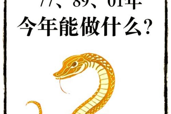 本命年蛇男如何在压力中找到突破口