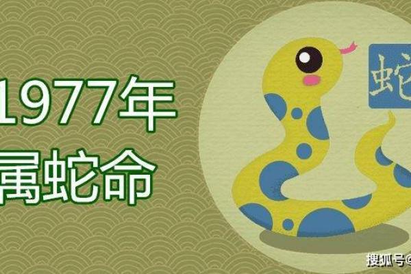 属蛇的命运起伏：每月运程的变化与应对策略