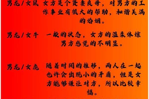 属龙与属马的性格契合度揭秘