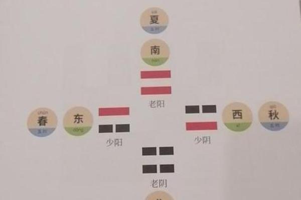 城市家居风水中的关键元素与布局技巧