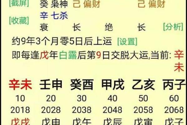 从生辰八字看命运走向，易经免费解析教你如何掌握未来