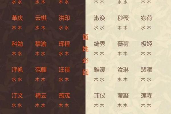 宝宝店起名字大全集：创意与温馨并存的精选名称推荐