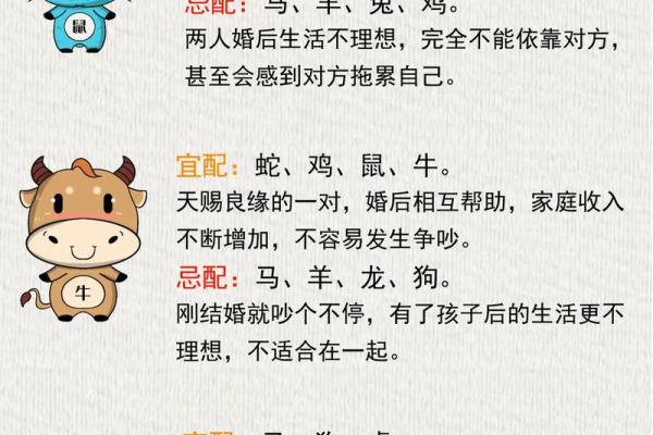 出生的人属什么生肖和命运解析