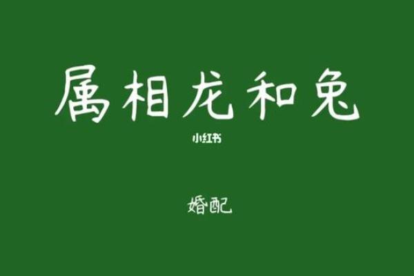 龙与羊的婚姻是否和谐