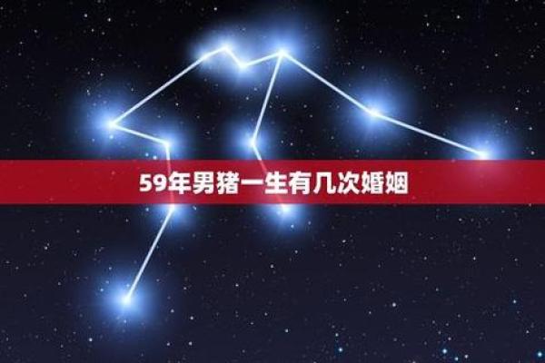 属猪人在爱情与健康方面的运势预测