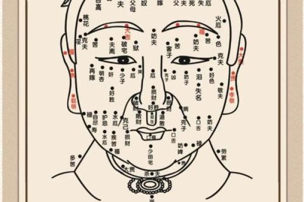 揭秘八字面相：如何通过面相分析提升运势和财富运？