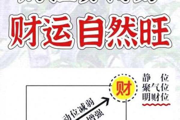 从化家居风水设计师推荐 专业指导提升居家运势