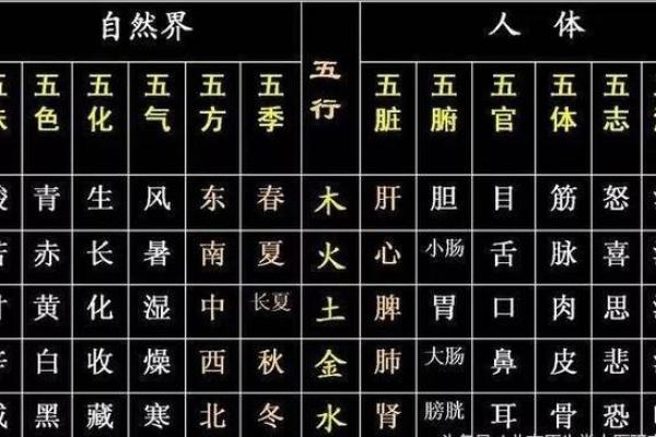 白砗磲五行解析:如何利用五行能量提升运势? 白砗磲五行解析:如何利用五行能量提升运势?