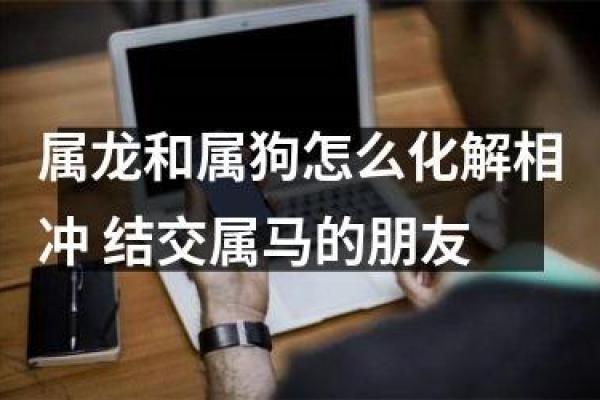 属狗与属龙的最佳搭配组合及建议