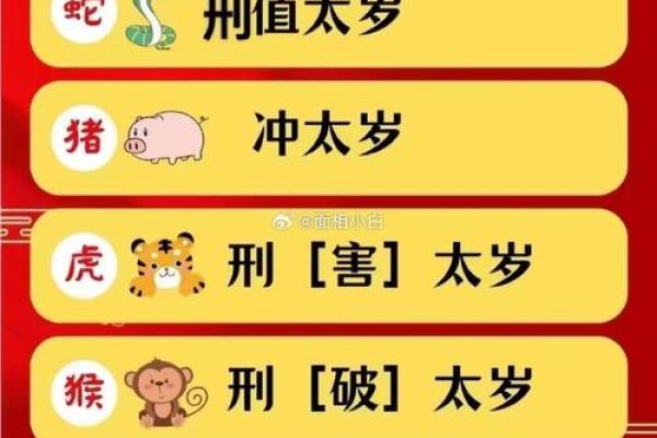 出生属猪的命理分析与未来运势