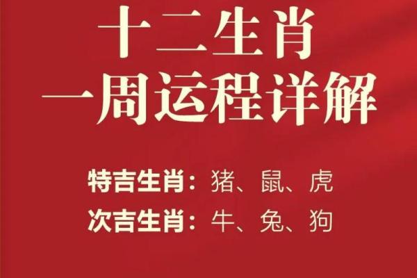 出生属猪的命理分析与未来运势