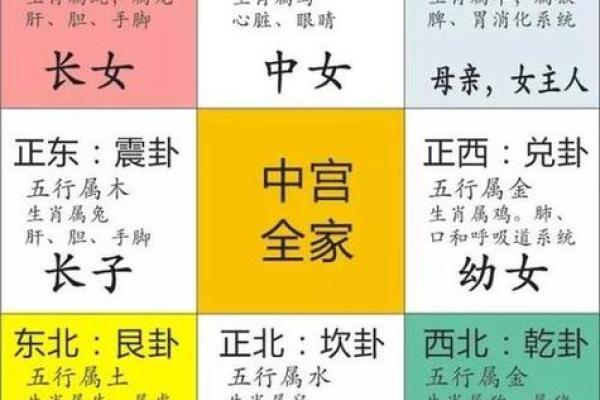 属马的每月运势如何