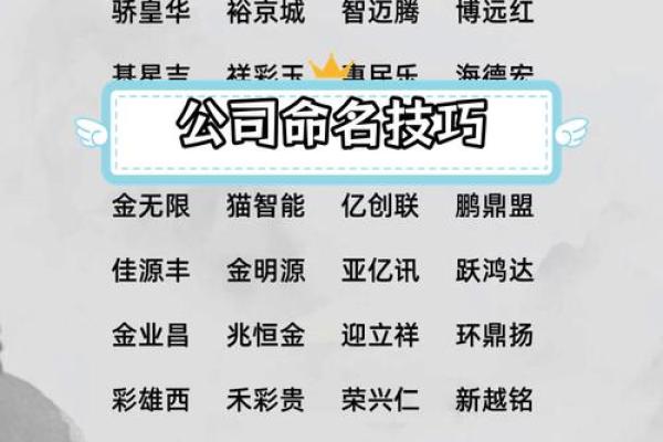 创意无限，go.公司起名诗意启航