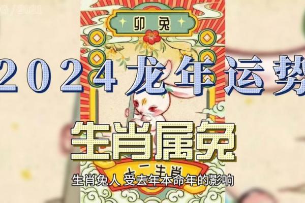 属兔人的运势解析及未来发展趋势