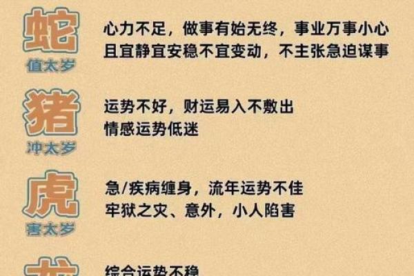 本命年属猴人如何避免不必要的开支