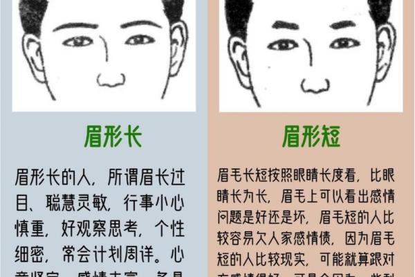 风水学中眉毛的象征意义与调理方法