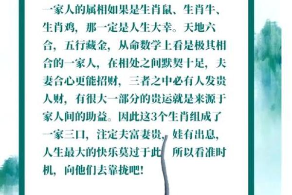 本命年属鼠如何化解外界的负能量