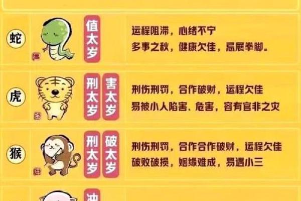 本命年蛇男的人际关系与沟通技巧