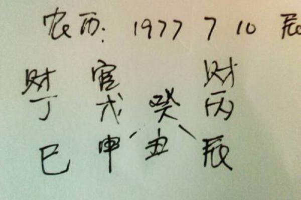 八字纯阳命，天生注定的辉煌与挑战